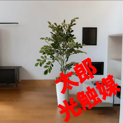 立体幻獣シリーズ 麒麟 立体・オブジェ LABOR STACIO 通販