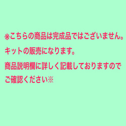 ♡ハワイアンキルトのキット〜ピンクッション〜♡ (完成品ではありません) 5枚目の画像