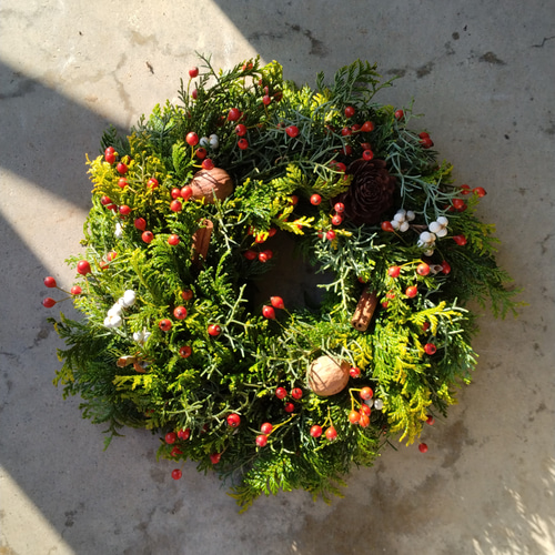 大人気たっぷりノイバラの実X'masリース2025 size20㎝ ドライフラワー