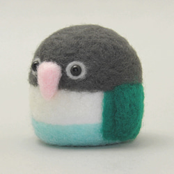 本トリ No.69 カルカヤインコ / 羊毛フェルト リアルサイズ 羊毛