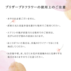 【仏花】胡蝶蘭とラナンキュラスの仏花　ご自宅の花立てに飾って頂けるブーケタイプです。 8枚目の画像