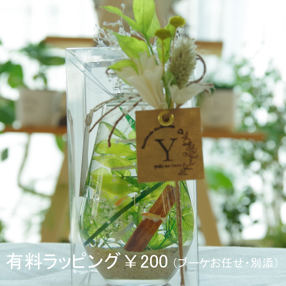 【作りたて！再販4】kawahirako　蔓草の森　ステンドグラスのような蝶々と濃いグリーンの森の風景で癒やしの空間を 17枚目の画像