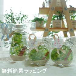 【作りたて！再販4】kawahirako　蔓草の森　ステンドグラスのような蝶々と濃いグリーンの森の風景で癒やしの空間を 15枚目の画像