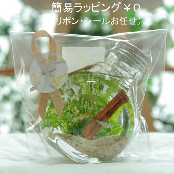 【作りたて！再販4】kawahirako　蔓草の森　ステンドグラスのような蝶々と濃いグリーンの森の風景で癒やしの空間を 14枚目の画像