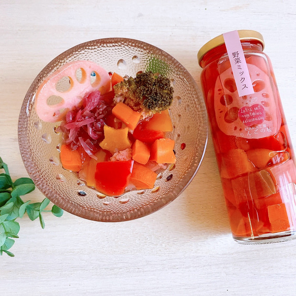 静岡県産野菜が色々入った食卓を彩る野菜MIXのピクルス 3枚目の画像