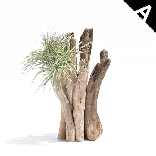 適当にドライフラワーなど差し込むだけでも結構イイ感じになる流木