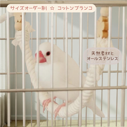 安全で安心《お花のぬくぬくブランコ》ウロコちゃんサイズ✩.*˚鳥