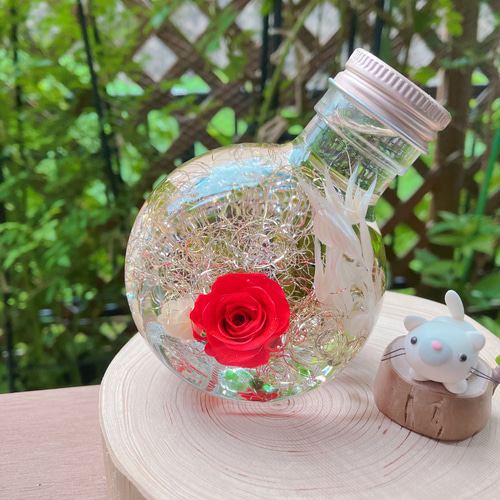 赤い薔薇一輪 ハーバリウム・植物標本 シルクジャスミン 通販
