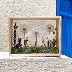 Floral Footprint 蒲公英庭院  獨家雙面相框花園 永生花禮 第2張的照片