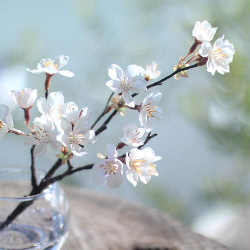 水換え不要)桜 サクラの小枝瓶挿し アートフラワー シュシュ 水換え不要)桜 サクラの小枝瓶挿し アートフラワー シュシュ