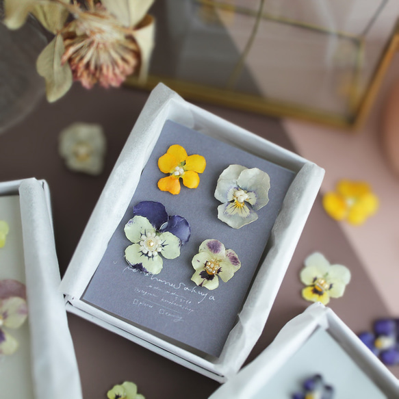 ビオラの耳飾りの詰め合わせ｜viola's coffret｜ピアス＆イヤリング｜No.165 8枚目の画像