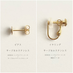 ビオラの耳飾りの詰め合わせ｜viola's coffret｜ピアス＆イヤリング｜No.165 13枚目の画像