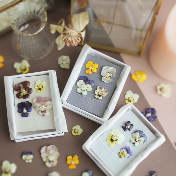 ビオラの耳飾りの詰め合わせ｜viola's coffret｜ピアス＆イヤリング｜No.165 2枚目の画像