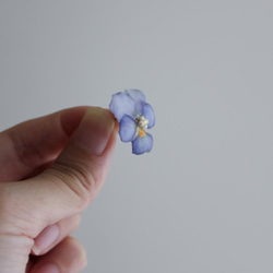 ビオラの耳飾りの詰め合わせ｜viola's coffret｜ピアス＆イヤリング｜No.165 7枚目の画像