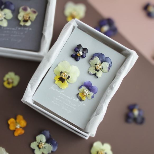 ビオラの耳飾りの詰め合わせ｜viola's coffret｜ピアス＆イヤリング｜No.165 9枚目の画像