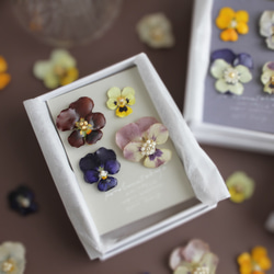 ビオラの耳飾りの詰め合わせ｜viola's coffret｜ピアス＆イヤリング｜No.165 10枚目の画像