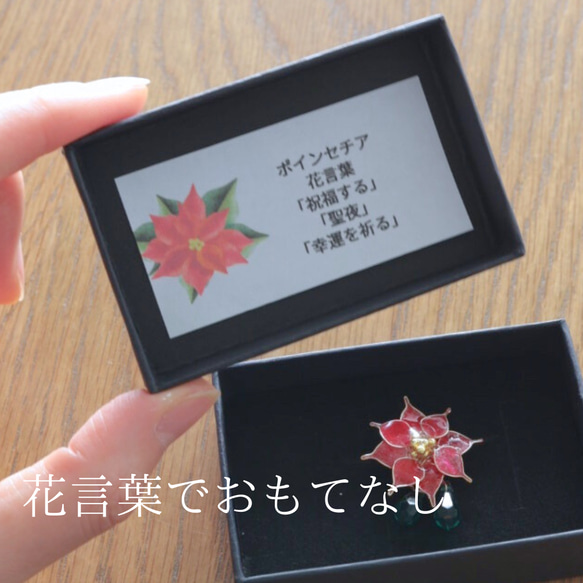 【十二月生日花】一品紅胸針聖誕 第11張的照片