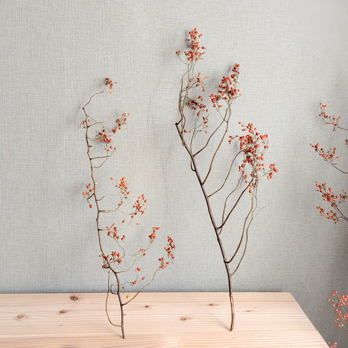 あったか色》野バラの実ドライフラワー ドライフラワー mamemona 通販