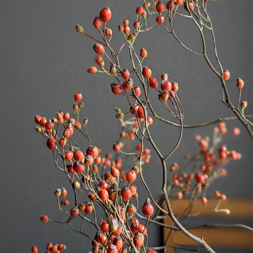 あったか色》野バラの実ドライフラワー ドライフラワー mamemona 通販