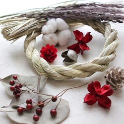 ミモザアカシア・ゴールデントップ 10本セット その他素材 juneberry