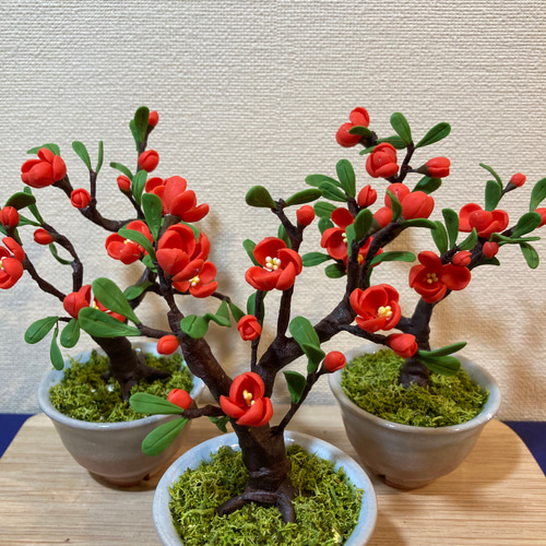 再販しました！》樹脂粘土製 ミニチュア盆栽〈木瓜〉 盆栽 AB