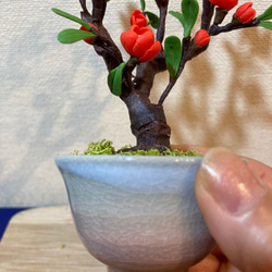 《再販しました！》樹脂粘土製　ミニチュア盆栽〈木瓜〉 4枚目の画像
