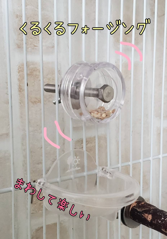 バードトイ くるくるフォージング♡ おもちゃ・ペット小物