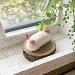 【再販】陶器の鉱石ウミウシちゃん シロウサギウミウシ/ 陶磁器 置物 デスク ペーパーウェイト 海の宝石 3枚目の画像