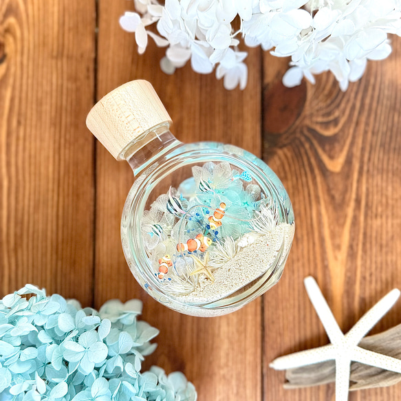 小さな海のハーバリウム ハーバリウム・植物標本 Pasa Pasa（パサパサ