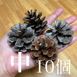 ジャンボ松ぼっくり 7個 その他素材 Karani 通販 15143002｜Creema