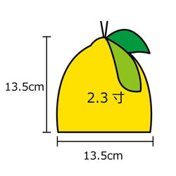 レモンの骨壺カバー（2.3寸用） 4枚目の画像