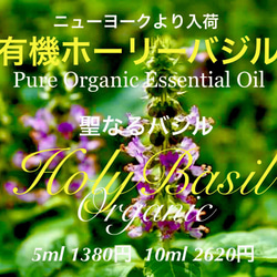 聖なるバジル】有機ホーリーバジル精油5ml（10ml出品中） その他素材