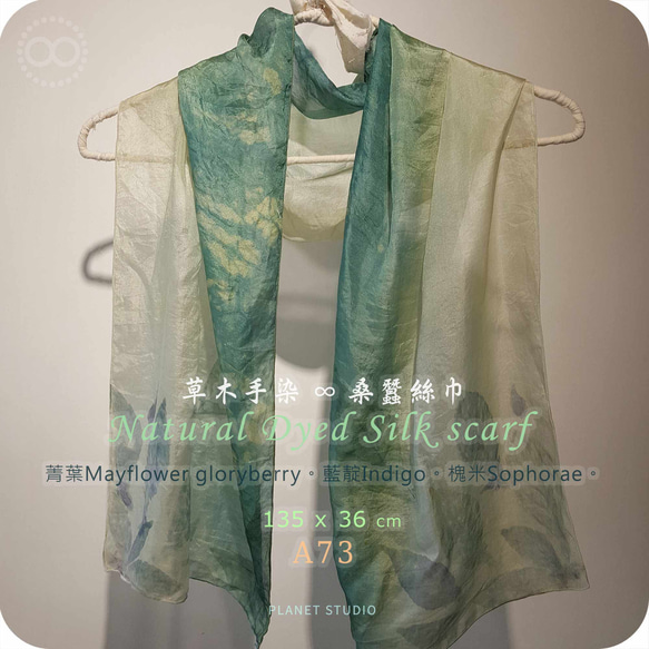 草木手染 ∞ 桑蠶絲長巾 ● 36 x 135 cm​ ​ - A73 - reDyed 第3張的照片