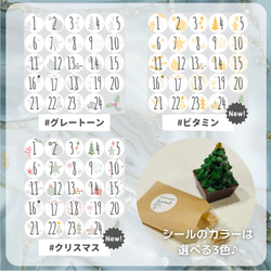 ◎送料込み◎クリスマスを楽しく迎える♪すぐにつかえるアドベントカレンダーキット 2枚目の画像