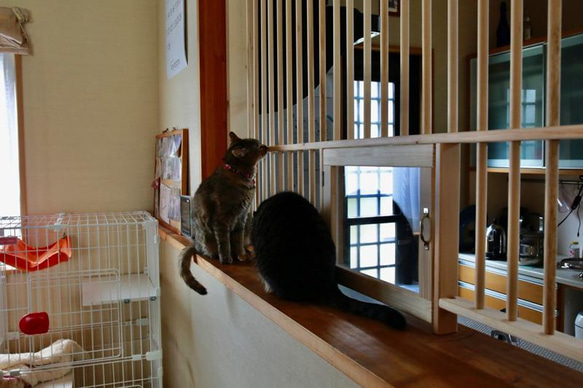 ★ 猫の侵入防止柵 L型キッチンカウンター・入り口用 ★ 