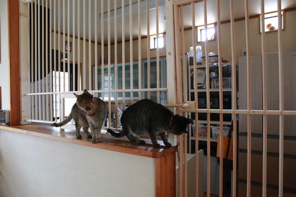 ★ 猫の侵入防止柵 L型キッチンカウンター・入り口用 ★ 