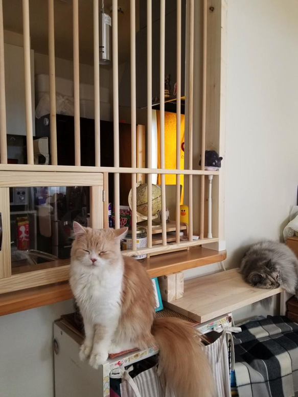 ★ 猫の侵入防止柵 L型キッチンカウンター・入り口用 ★ 