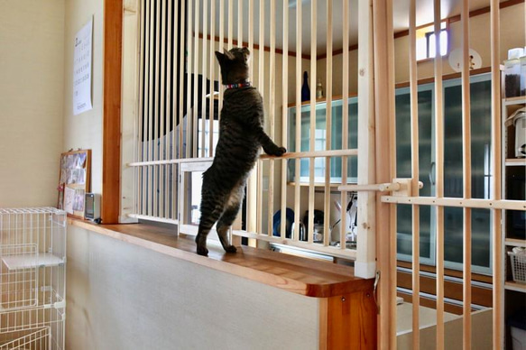 ★ 猫の侵入防止柵 L型キッチンカウンター・入り口用 ★ 