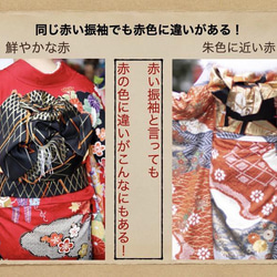 【成人式の方は必見！】振袖カラー別 成人式髪飾りコーディネート表！ 13枚目の画像