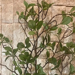 光触媒　人工観葉植物　ウォールグリーン　フェイク　アレンジ　ドウダン101 4枚目の画像