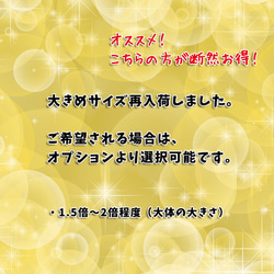 【本物保証】希少石・レムリアンシードクリスタル レムリアンシード ミナスジェライス州 カブラル鉱山産 12枚目の画像