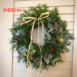 タイムセール 金魚アート 紅葉 もみじ 置物 プリザーブドフラワー グリーン タイムセール 金魚アート 紅葉 もみじ 置物 プリザーブド