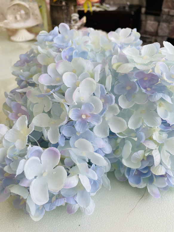 『弾む紫陽花』 透明水彩] 紫陽花 額咲きと手まり咲きのあじさい Hydrangea