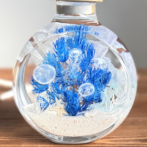 深海のクラゲのハーバリウム ハーバリウム・植物標本 Pasa Pasa