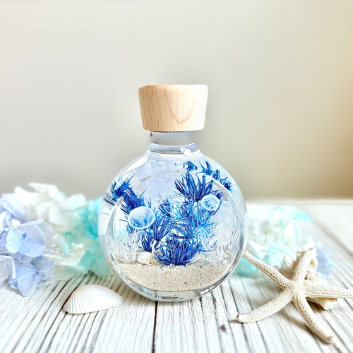 深海のクラゲのハーバリウム ハーバリウム・植物標本 Pasa Pasa