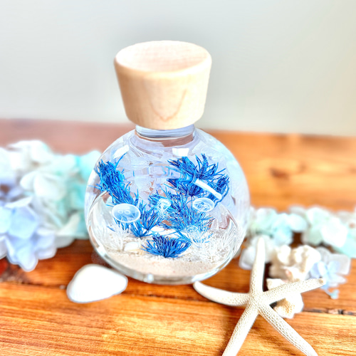 深海のクラゲのハーバリウム ハーバリウム・植物標本 Pasa Pasa