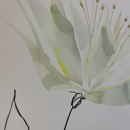 flower 【原画 A3/アクリル画】 #インテリアアート#絵画#花