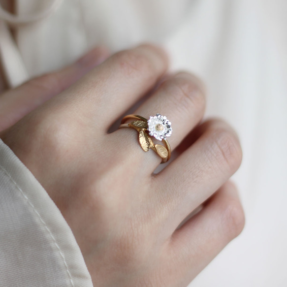 北極環 第9張的照片