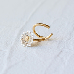 北極耳環 第2張的照片