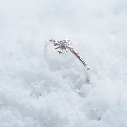 Snow Crystal *〜雪の結晶リング〜* (silver×Aquamarine) 1枚目の画像